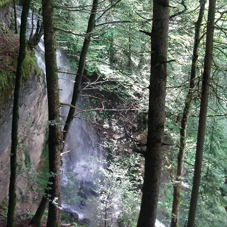 Holidays In Allgau *